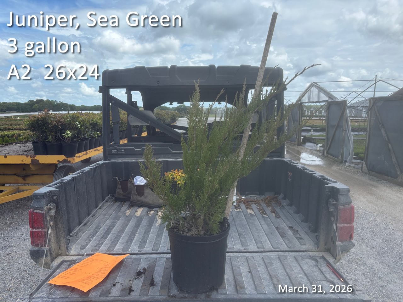 gallery/jsg3 a2 mar31.jpg